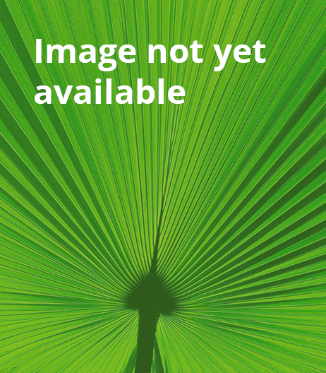 Coast Palms and Cycads